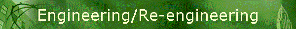 Engineering/Re-engineering
